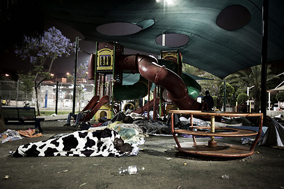 פליטים ישנים בגינת לוינסקי. מקום ראשון בקטגוריית חיי יום יום (צילום: ניצן הפנר) (צילום: ניצן הפנר)