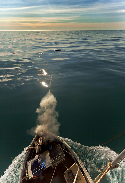 צילום: GDT European Wildlife Photographer of the Year 2012