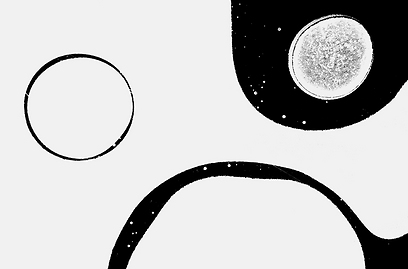 צילום: GDT European Wildlife Photographer of the Year 2012