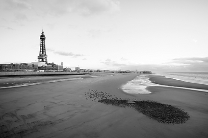 צילום: GDT European Wildlife Photographer of the Year 2012