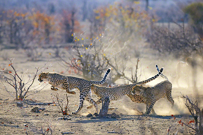 צילום: Travel Photographer of the Year 2012