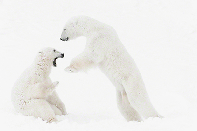 צילום: Travel Photographer of the Year 2012