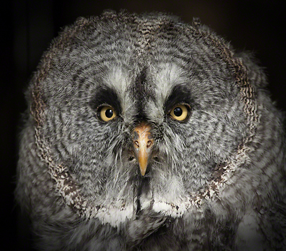 צילום: Travel Photographer of the Year 2012