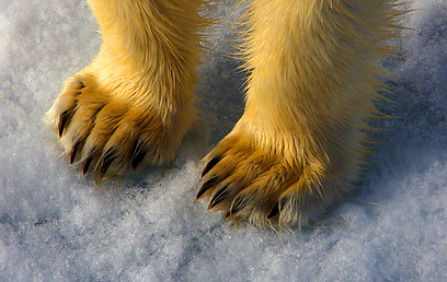 צילום: Travel Photographer of the Year 2012