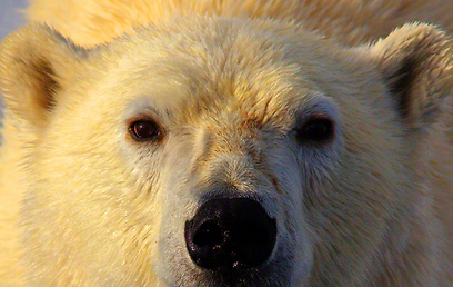 צילום: Travel Photographer of the Year 2012