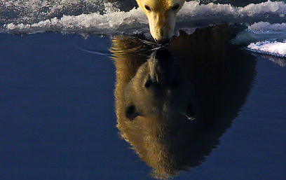 צילום: Travel Photographer of the Year 2012