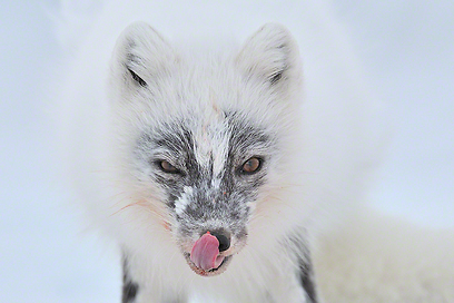 צילום: Travel Photographer of the Year 2012