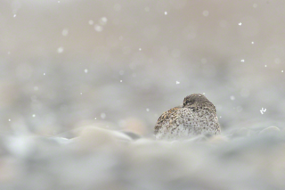 צילום: Travel Photographer of the Year 2012