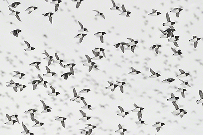 צילום: Travel Photographer of the Year 2012