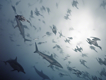 צילום: Travel Photographer of the Year 2012