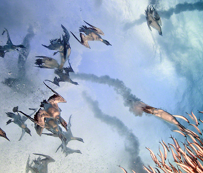 צילום: Travel Photographer of the Year 2012