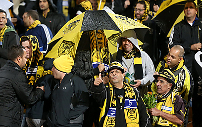 אוהדי בית"ר מוכנים לגשם עם מטריות צהובות-שחורות (צילום: ראובן שוורץ) (צילום: ראובן שוורץ)