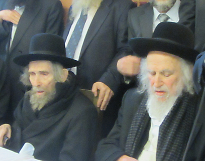 הרב שטיינמן (משמאל) והרב אויערבך. שני פלגים, שני עיתונים, שתי מפלגות (צילום: כיכר השבת) (צילום: כיכר השבת)