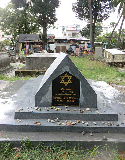 צילום: אלדד בק צילום: אלדד בק