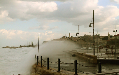 גלים גבוהים בנמל תל אביב (צילום: אמיר הראל) (צילום: אמיר הראל)