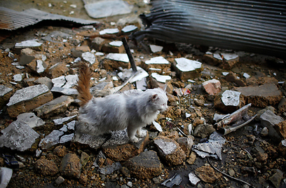 נזקי הפצצה אווירית (צילום: רויטרס) (צילום: רויטרס)