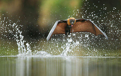 צילום: עופר לוי