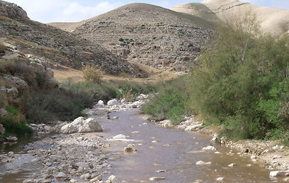 שפכים בנחל פרת (צילום: באדיבות החברה להגנת הטבע) (צילום: באדיבות החברה להגנת הטבע)