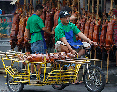 מכינים את ה"לצ'ון", המעדן המסורתי לחג במנילה, הפיליפינים (צילום: רויטרס) (צילום: רויטרס)