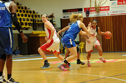 צילום: אפי שריר צילום: אפי שריר