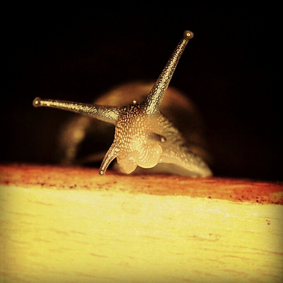 צילום: טל איתן צילום: טל איתן