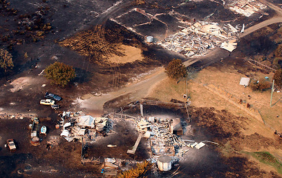 הרס שגרמו שריפות בטסמניה בשבוע האחרון (צילום: רויטרס) (צילום: רויטרס)