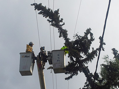 עובדי חברת החשמל בפעולה. מתקנים את נזקי הסופה (צילום: גלעד מורג) (צילום: גלעד מורג)