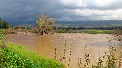 נהר הירדן (צילום: קרולין אבו ג'בל) (צילום: קרולין אבו ג'בל)
