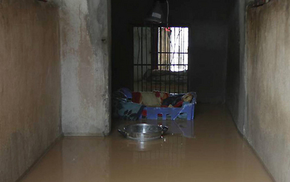 צילום: גיל יוחנן