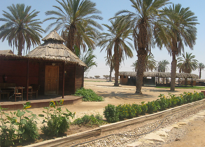חוות האנטילופות בערבה (צילום: שלומית בן) (צילום: שלומית בן)