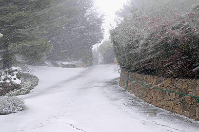 סופת שלגים בקיבוץ מנרה, הבוקר (צילום: אביהו שפירא) (צילום: אביהו שפירא)