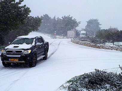 שלג בקיבוץ סאסא בצפון, הבוקר (צילום: אחיה ראב"ד) (צילום: אחיה ראב