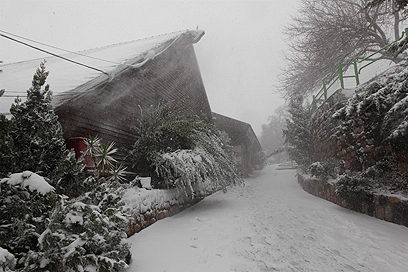 השלג שנערם בנווה אטי"ב ברמת הגולן (צילום: בן פרידמן) (צילום: בן פרידמן)