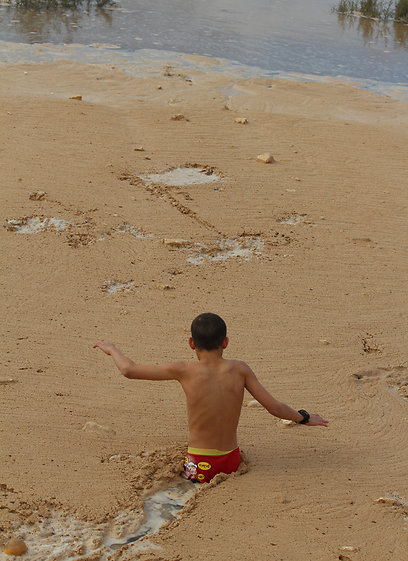 צילום: עודד קינן, החברה להגנת הטבע
