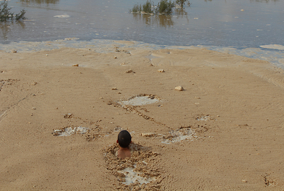 צילום: עודד קינן, החברה להגנת הטבע