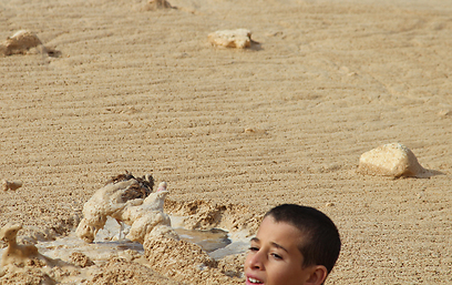 צילום: עודד קינן, החברה להגנת הטבע