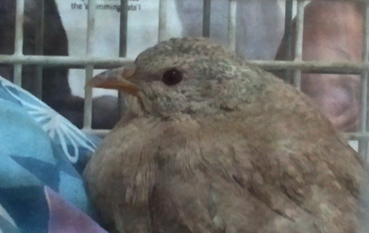 צילום: ענת פרידמן