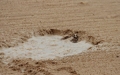 צילום: עודד קינן, החברה להגנת הטבע