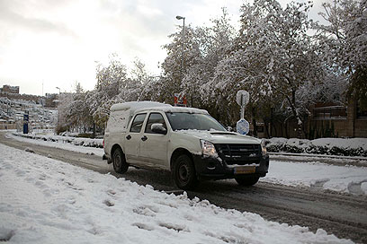 טנדר כפול-הנעה - מכלי הרכב היותר מתאימים לנהיגת שלג (צילום: אוהד צויגנברג) (צילום: אוהד צויגנברג)