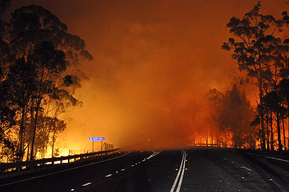גל החום הגדול גרם לשריפות ענק. ניו סאות' ויילס (צילום: AFP) (צילום: AFP)