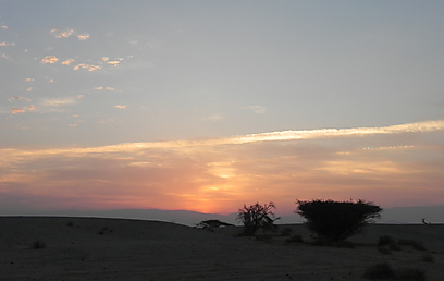 אחת הזריחות היפות שתראו בערבה. השחר עולה ממזרח (צילום: זיו ריינשטיין) (צילום: זיו ריינשטיין)