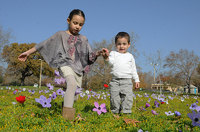 שבת אביבית ברמת הגולן  (צילום: אביהו שפירא) (צילום: אביהו שפירא)