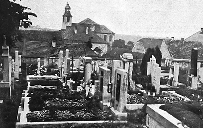 הנאצים לא חסו גם על בית הקברות והרסוהו עד היסוד (צילום: באדיבות טבע הדברים) (צילום: באדיבות טבע הדברים)