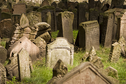  12 אלף מצבות. בית הקברות היהודי בפראג (צילום: shutetrstock) (צילום: shutetrstock)