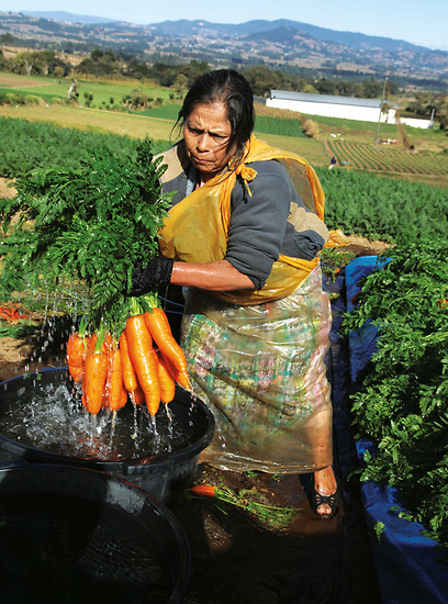 בכפרים, לכל משפחה חלקת אדמה שבה היא מגדלת ירקות לפרנסתה (צילום: אריה דהן, טבע הדברים) (צילום: אריה דהן, טבע הדברים)