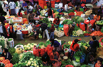 שוק הפירות והירקות בצ'יצי'קסטננגו מתקיים באולם סגור צמוד לשוק הגדול (צילום: אריה דהן, טבע הדברים) (צילום: אריה דהן, טבע הדברים)