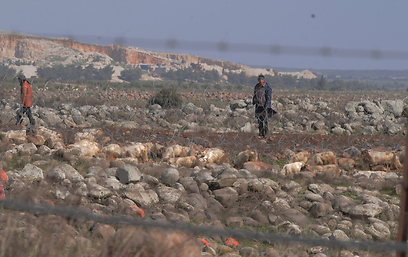 "רועי צאן" סמוך לגבול (צילום: אביהו שפירא) (צילום: אביהו שפירא)