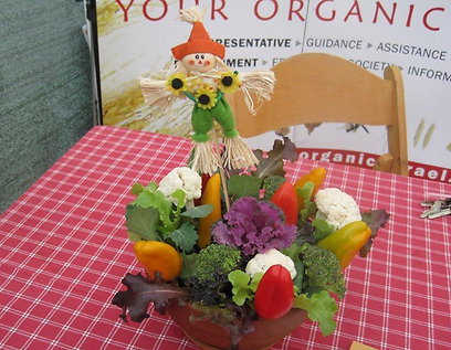משלוח מנות אורגני מעוצב, על בסיס ירקות טריים (צילום: באדיבות הארגון חקלאות אורגנית) (צילום: באדיבות הארגון חקלאות אורגנית)