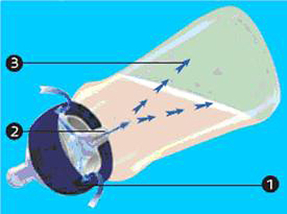 צילום: גיל לוי צילום: גיל לוי