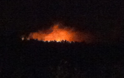 האש שפרצה ליד ניר עציון. 11 צוותי כיבוי במקום (צילום: שמוליק כץ ) (צילום: שמוליק כץ )